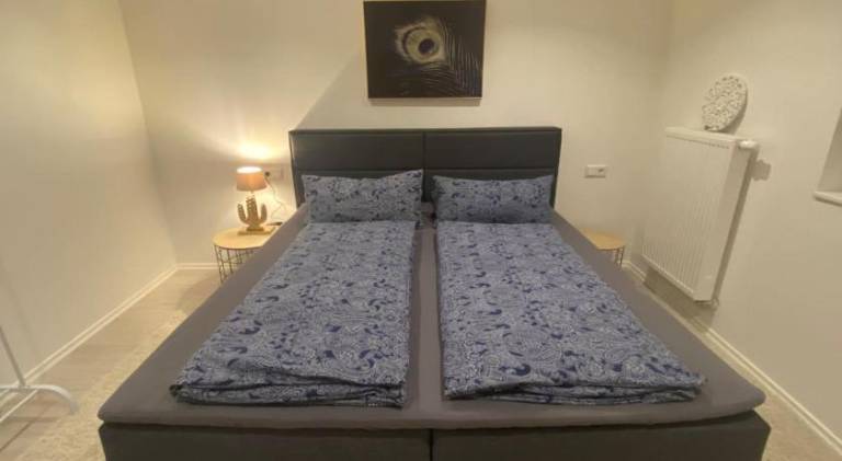 Lovely rental apartment | Pets are welcome — photo 4