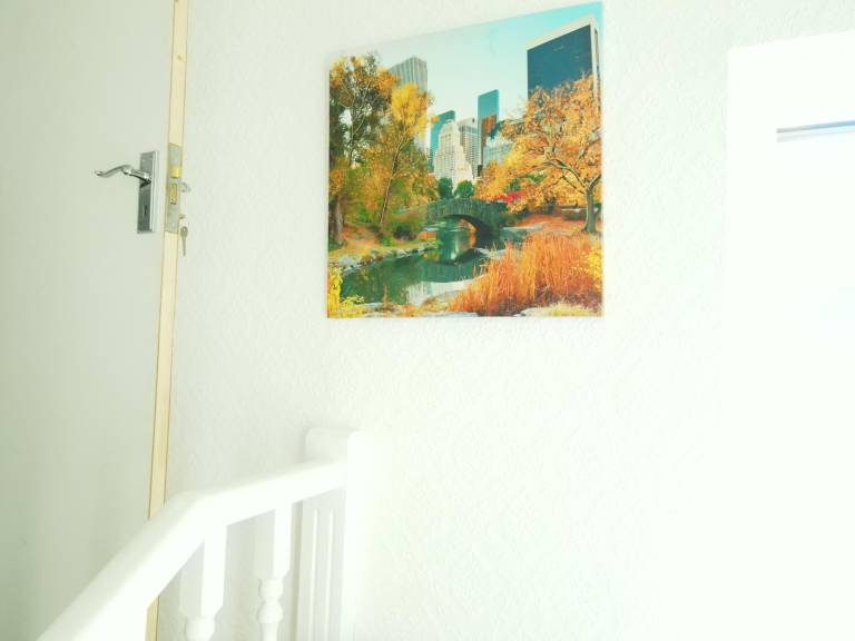 foto38