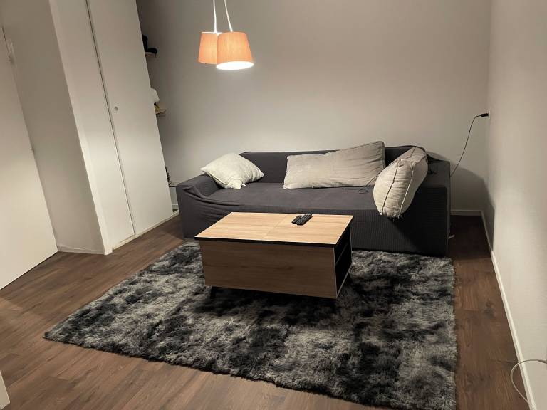 Appartement Bourgoin-Jallieu