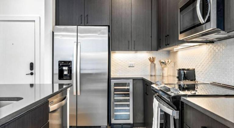 Rental apartment with pool | Suitable for remote work | Dogs allowed in Tampa, FL