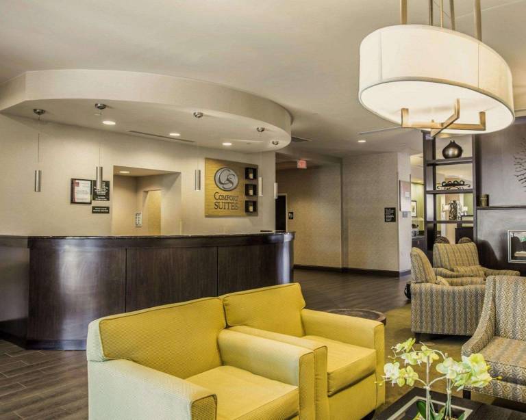 Comfort Suites Huntersville near Lake Norman — photo 5