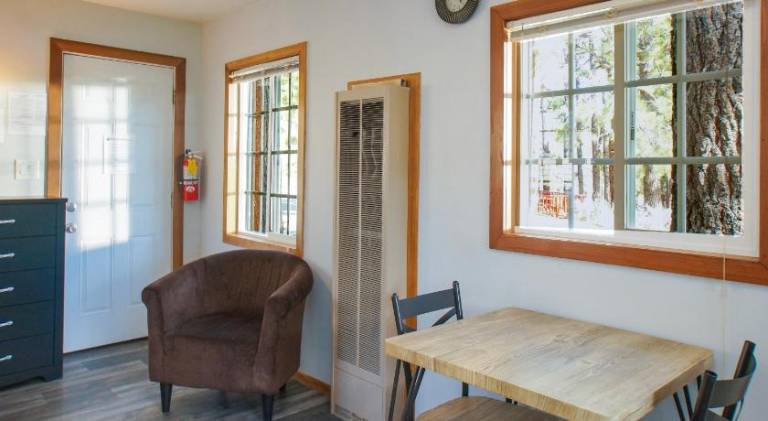 Baby Bear - A delightful studio style property in the perfect central location! — photo 4