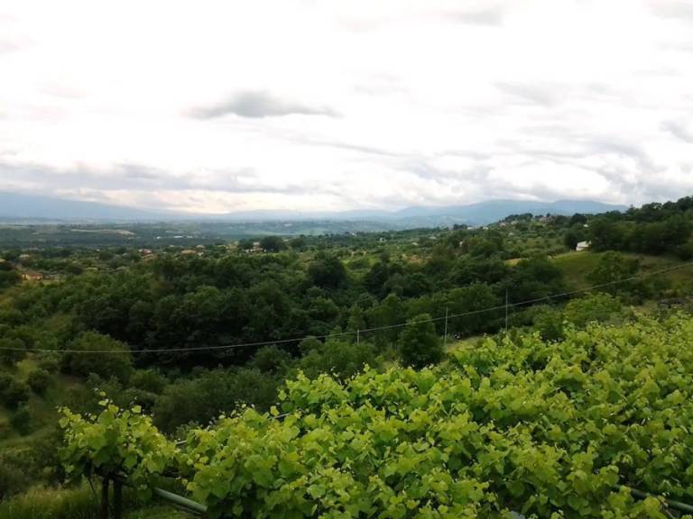 Le Farnie: Agriturismo Le Farnie - PER GRUPPI - pernottamento con prima colazione — photo 4