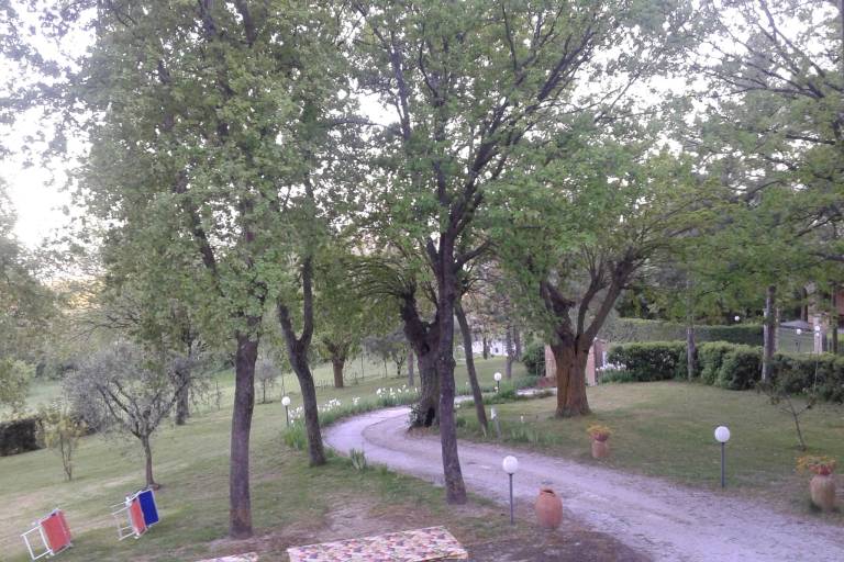 foto33