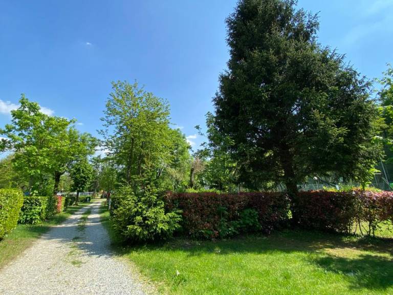 foto48