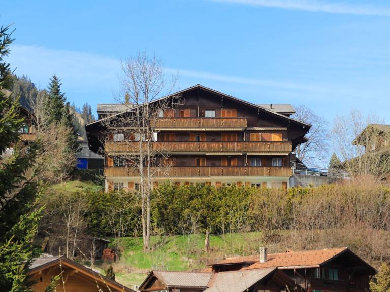 Ferienwohnung Zweisimmen