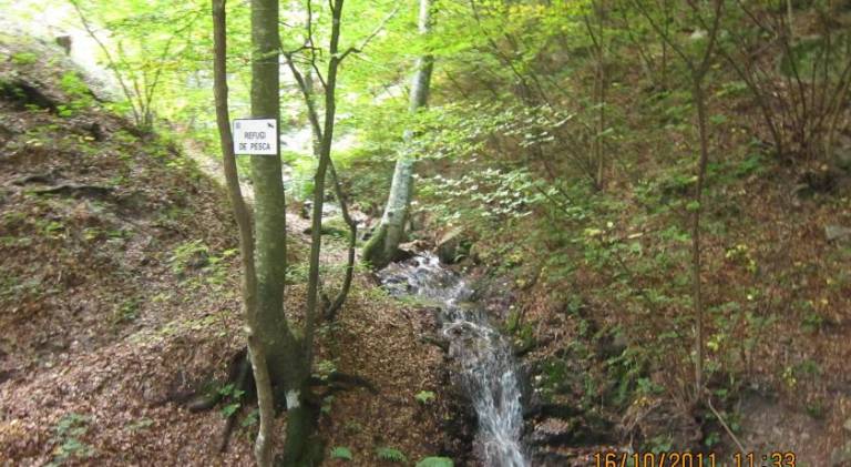 foto43