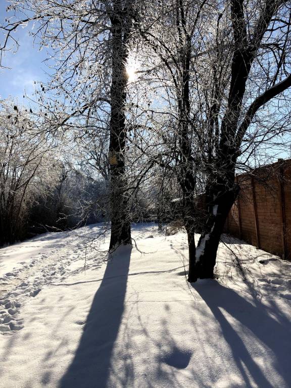 foto6