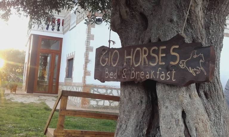 Bed & Breakfast San Nicandro Garganico