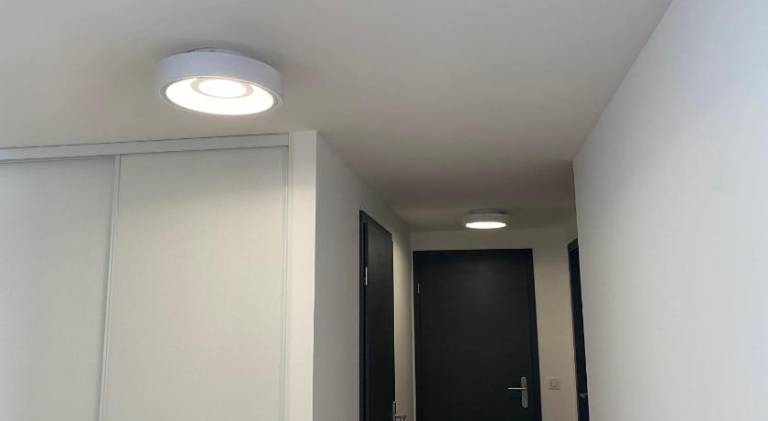Pleasant holiday apartment | Pets are welcome — photo 3