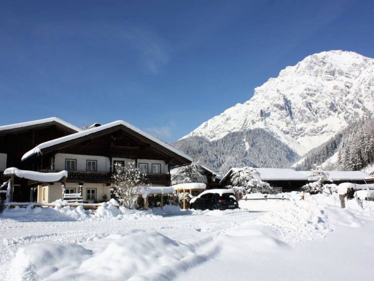 Huis  Leogang