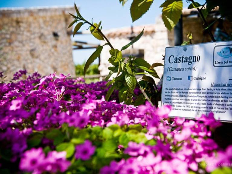 Trulli il Castagno: Trullo Panoramico — photo 5
