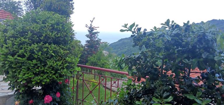 foto18