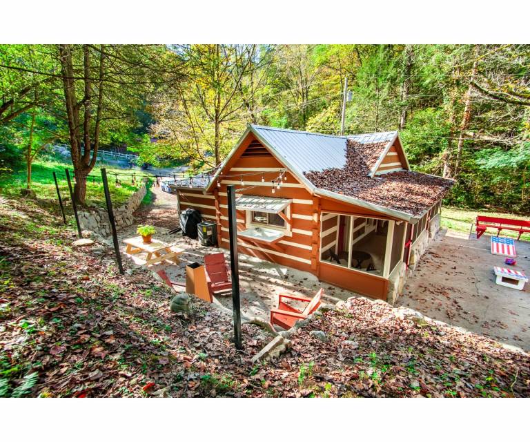 Cabin Townsend
