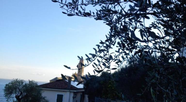 Finestra sul borgo — photo 5