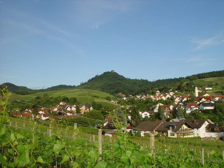foto13