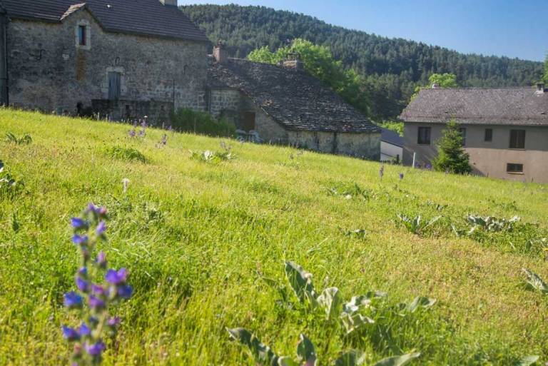 Gîte La Malène