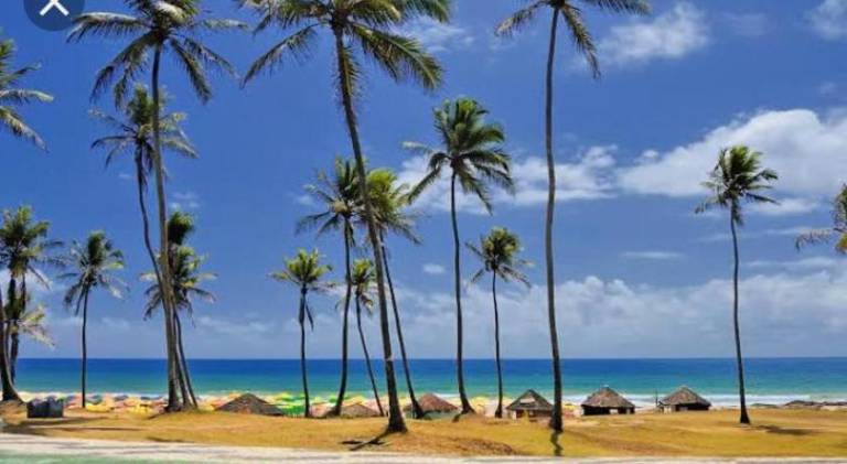 Nice serviced apartment | Close to the beach | Pet-friendly — photo 2