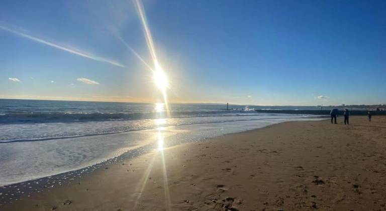 Ample house | Close to the beach | Pet-friendly in Christchurch