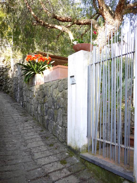 Villa with barbeque, patio & yard | Panoramic view — photo 4