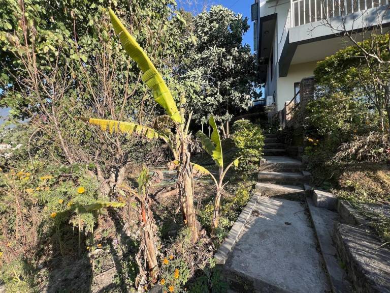 foto35