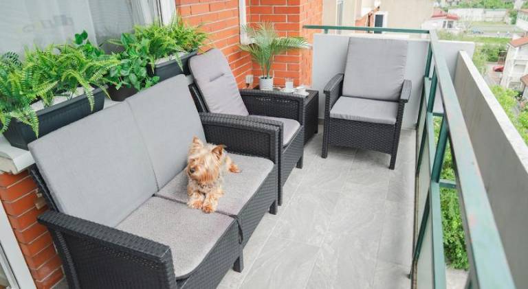 Rental apartment | Dogs allowed — photo 2