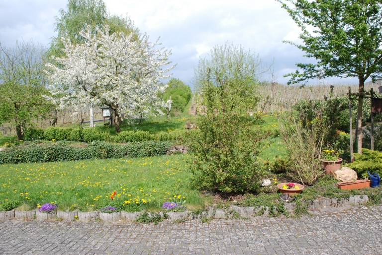 Ferienwohnung Bullay