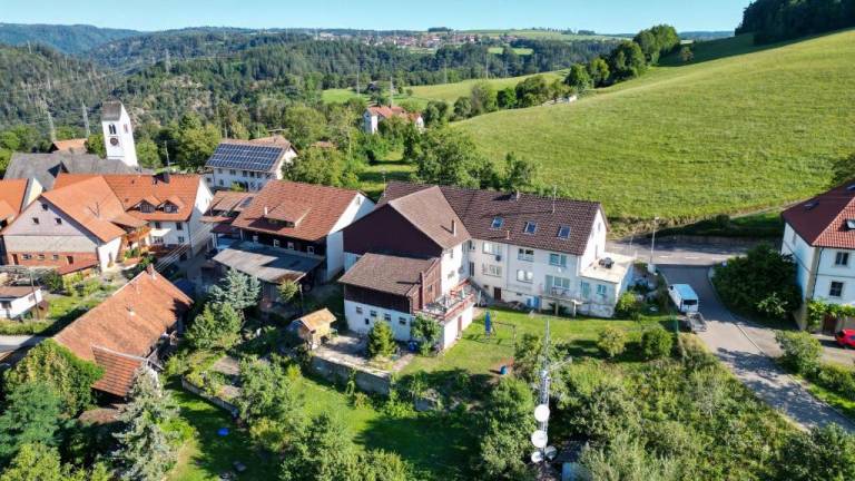 Ferienwohnung Südschwarzwald 14 Personen 230 m², 6 Schlafzimmer, Terrasse, nahe Schweiz — photo 3
