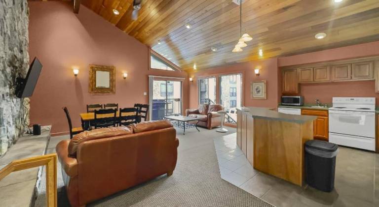 Rental apartment with hot tub & pool | Perfect for remote work | Pets are welcome — photo 4