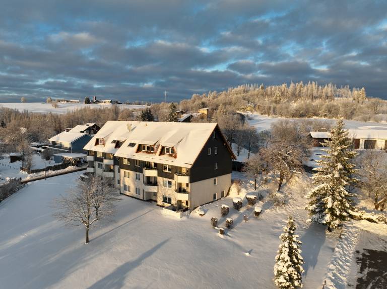 Traumharz in Goettingen