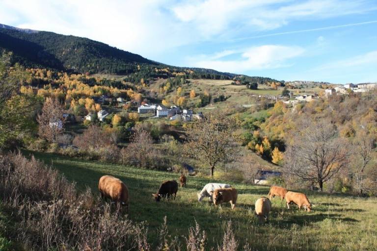 Cottage Mont-Louis