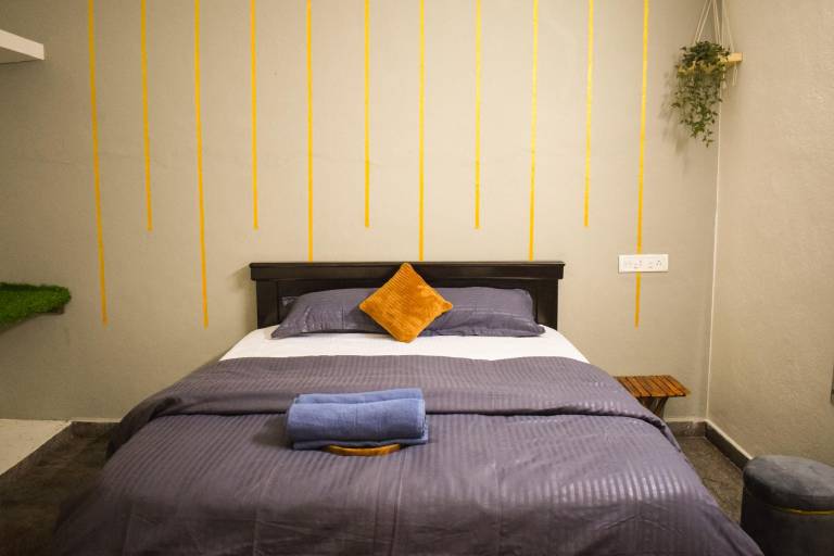 Apartment | Pets are welcome — photo 2