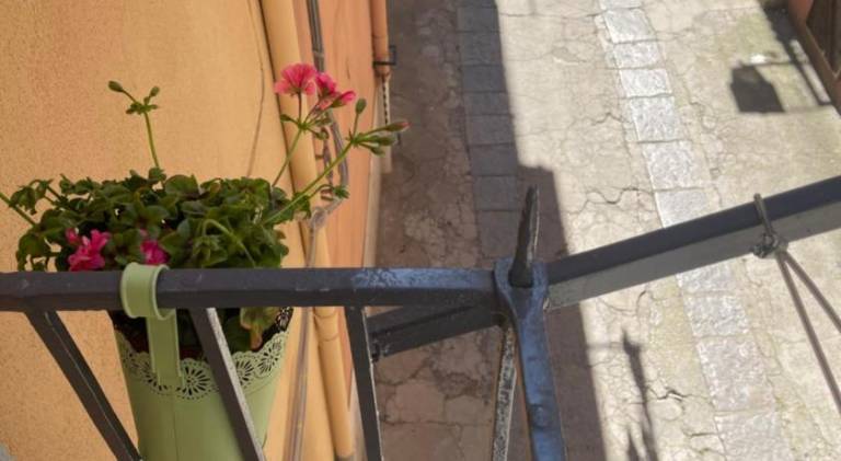foto6