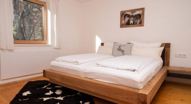 Rental apartment | Dogs allowed in Innsbruck