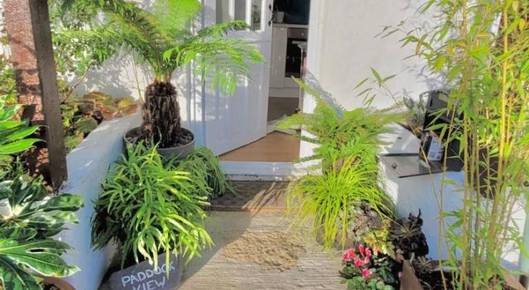 55 m&sup2; Ferienhaus