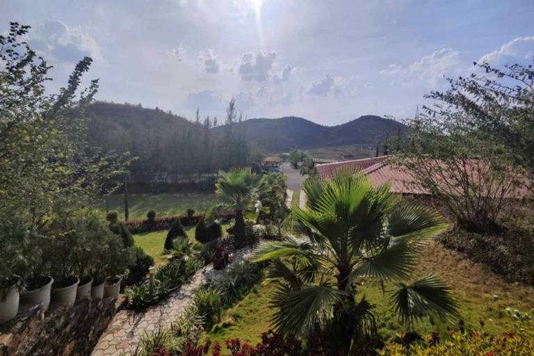foto11