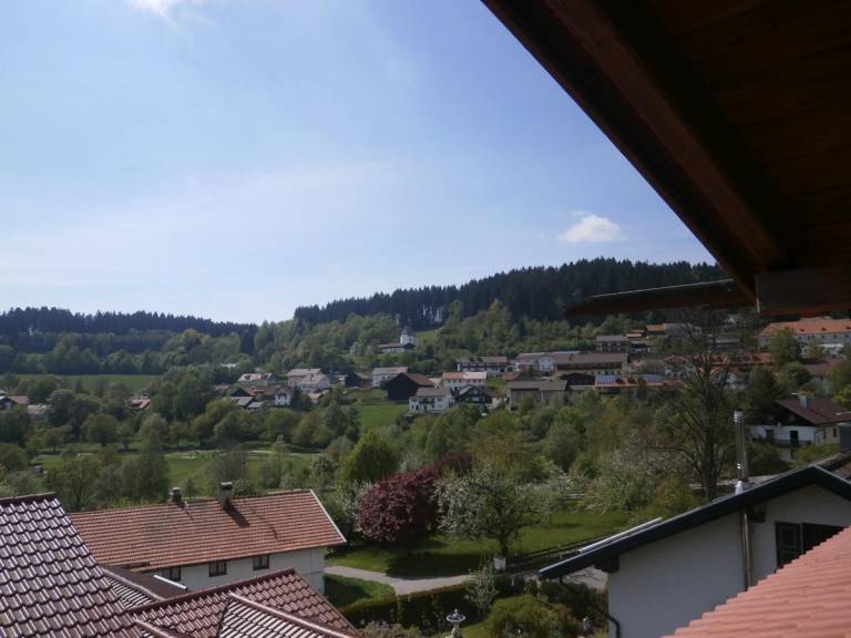 foto5