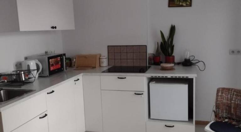 Rental apartment with 1 room for 2 persons — photo 4