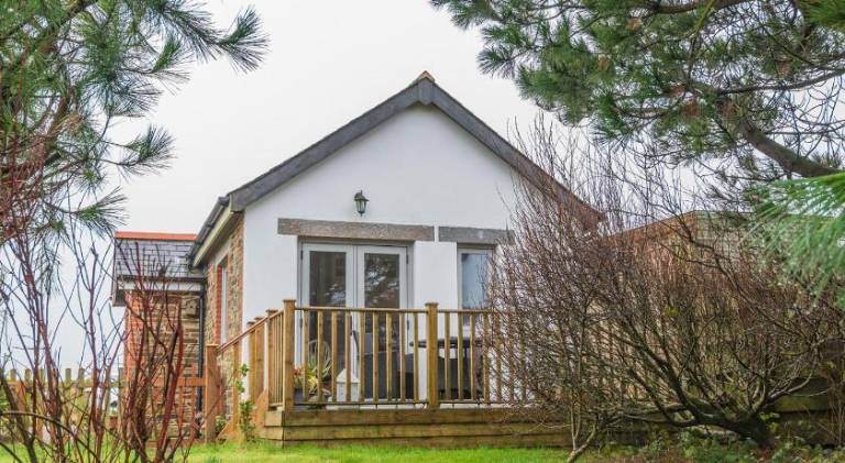 Wonderful vacation home | Pets are welcome — photo 4