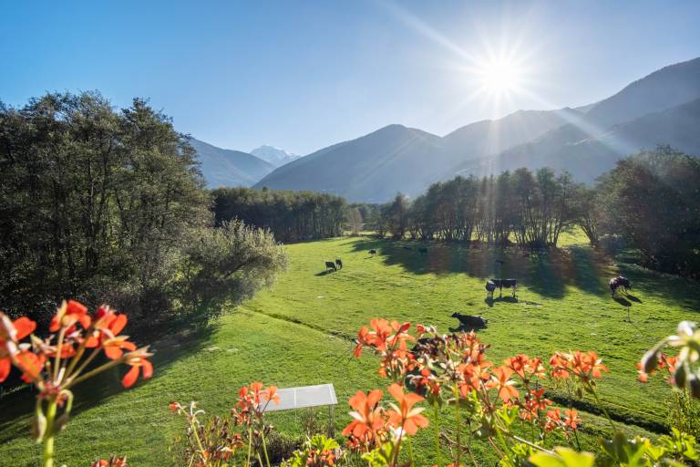 Appartamento Prato Allo Stelvio