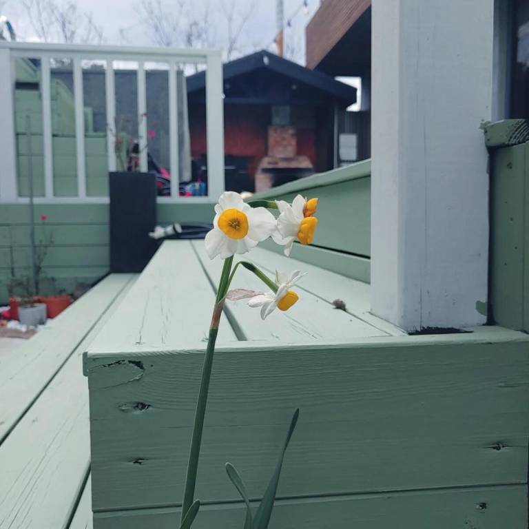 foto19
