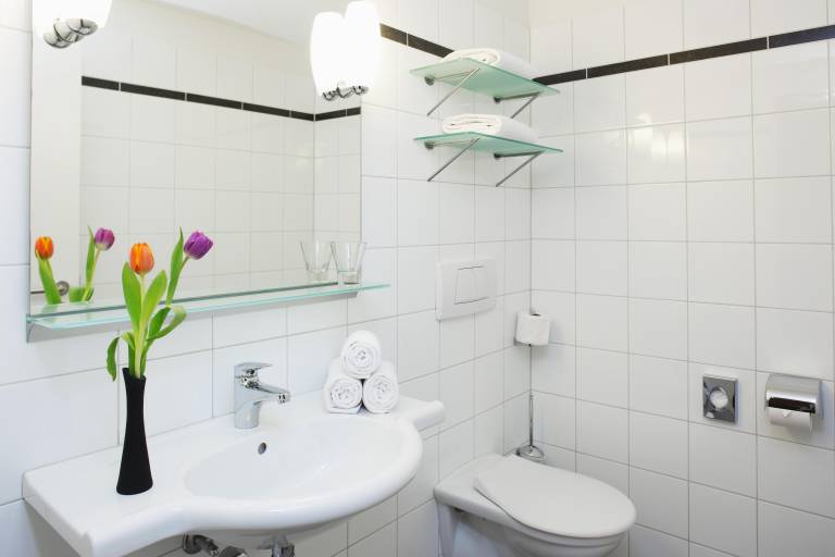 Ferienwohnung mit Hund in Interlaken, Goldswil für max. 4 Personen Ferienwohnung mit Hund in Interlaken, Goldswil für max. 4 Personen