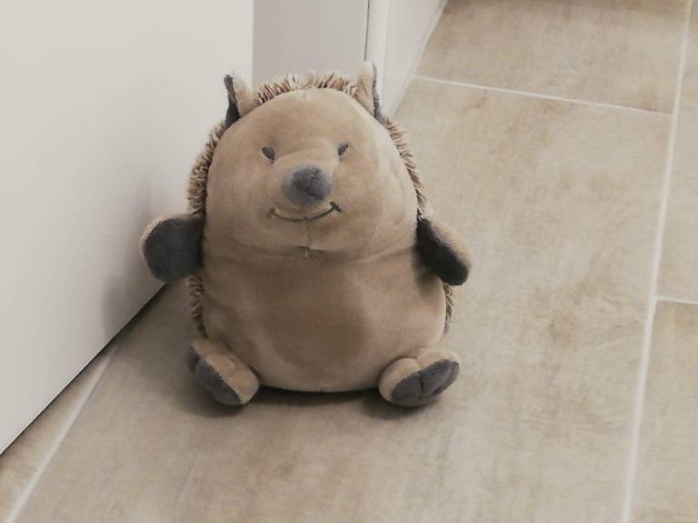foto14