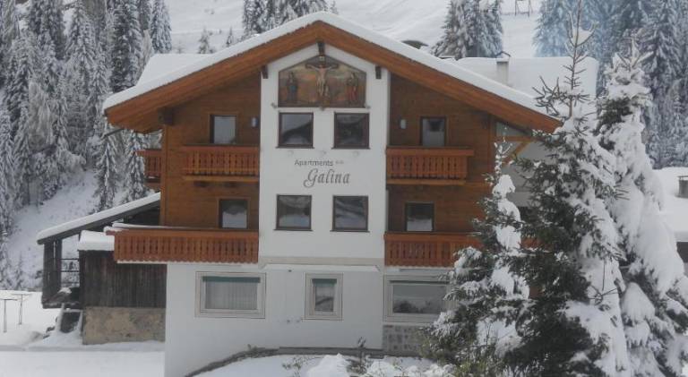 Nice rental apartment with terrace, grill & garden | Suitable for remote work | Dogs allowed in Santa Cristina Val Gardena
