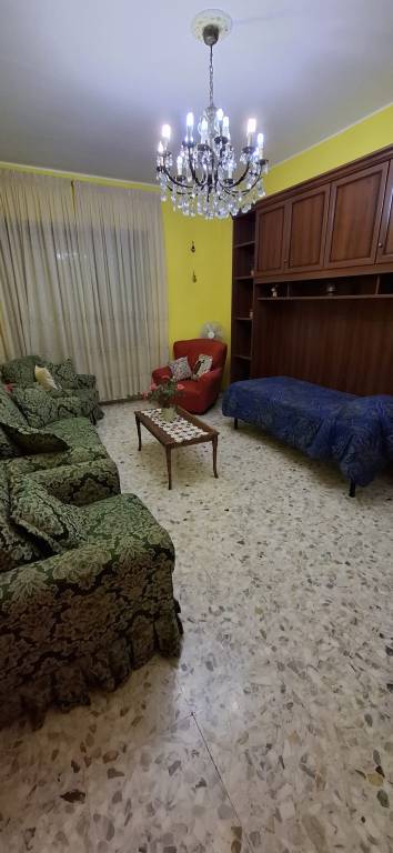 foto5
