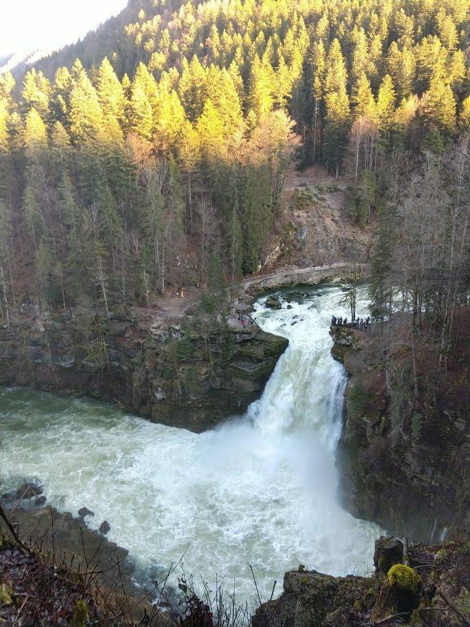 foto11