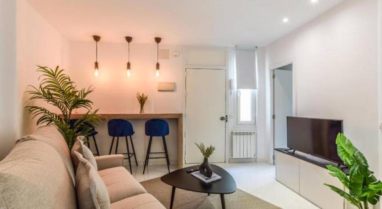 Nice holiday apartment | Dogs allowed in Madrid