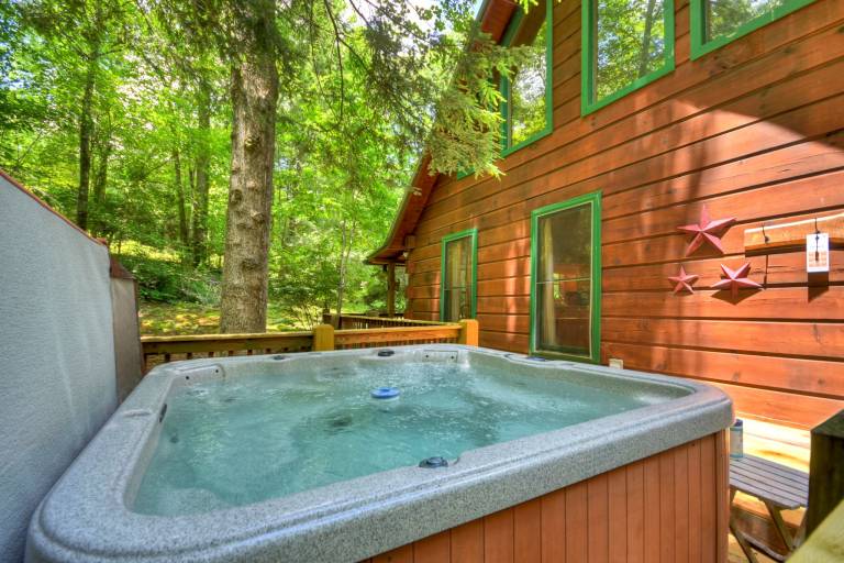 Cabin Blue Ridge