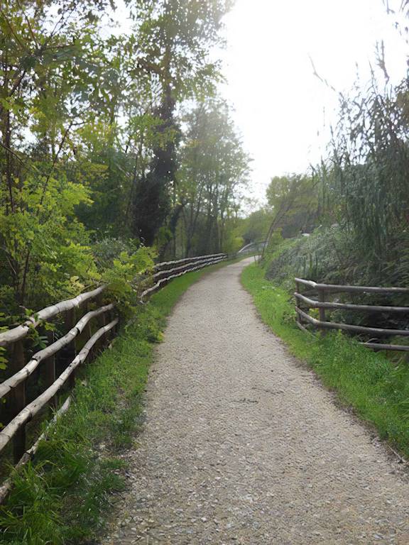 foto16