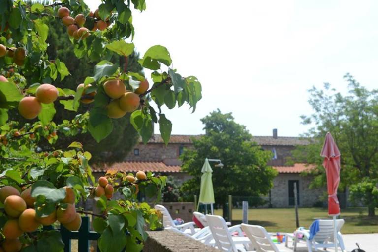 Podere Santa Giulia: B di Casale Francianina — photo 3